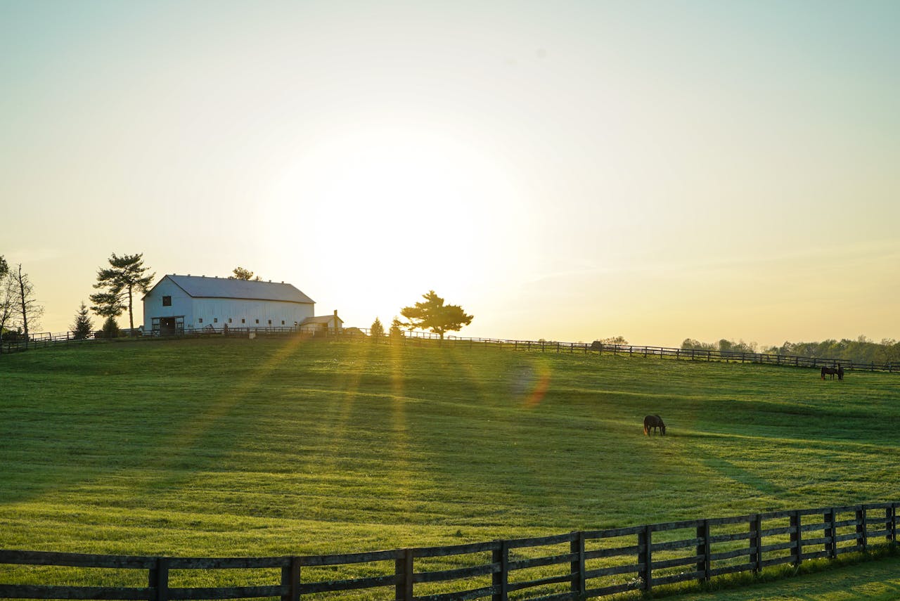 Beautiful sunrise illuminating a peaceful Kentucky farm with lush green pastures and grazing horses.
